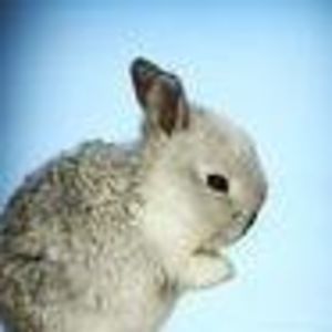 Meet your Posher, Rita